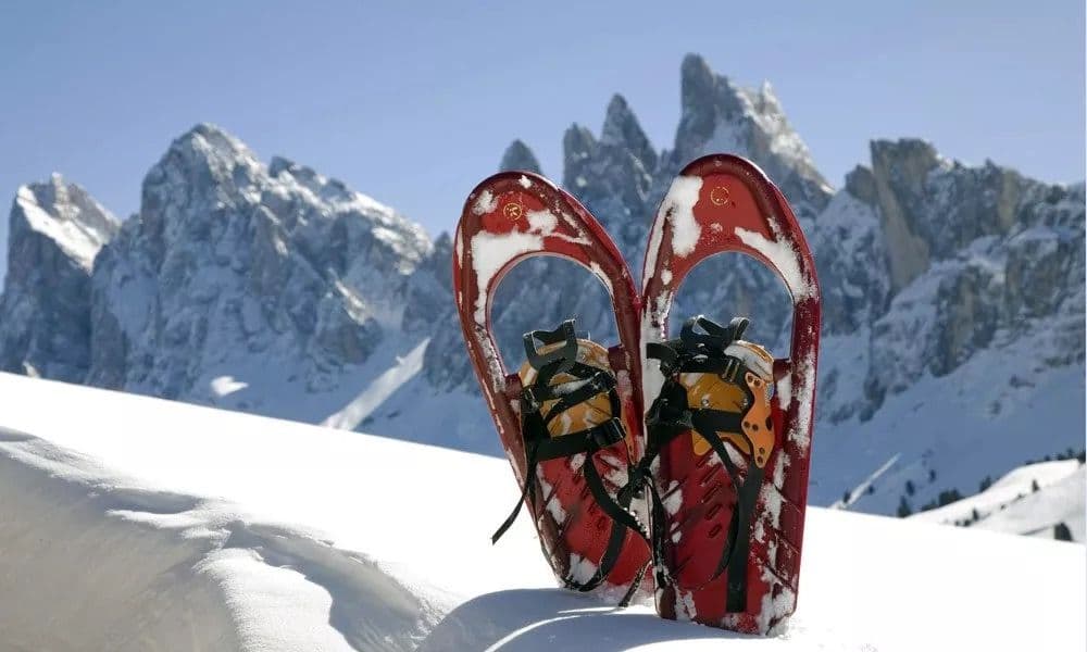 Schneeschuhwanderungen