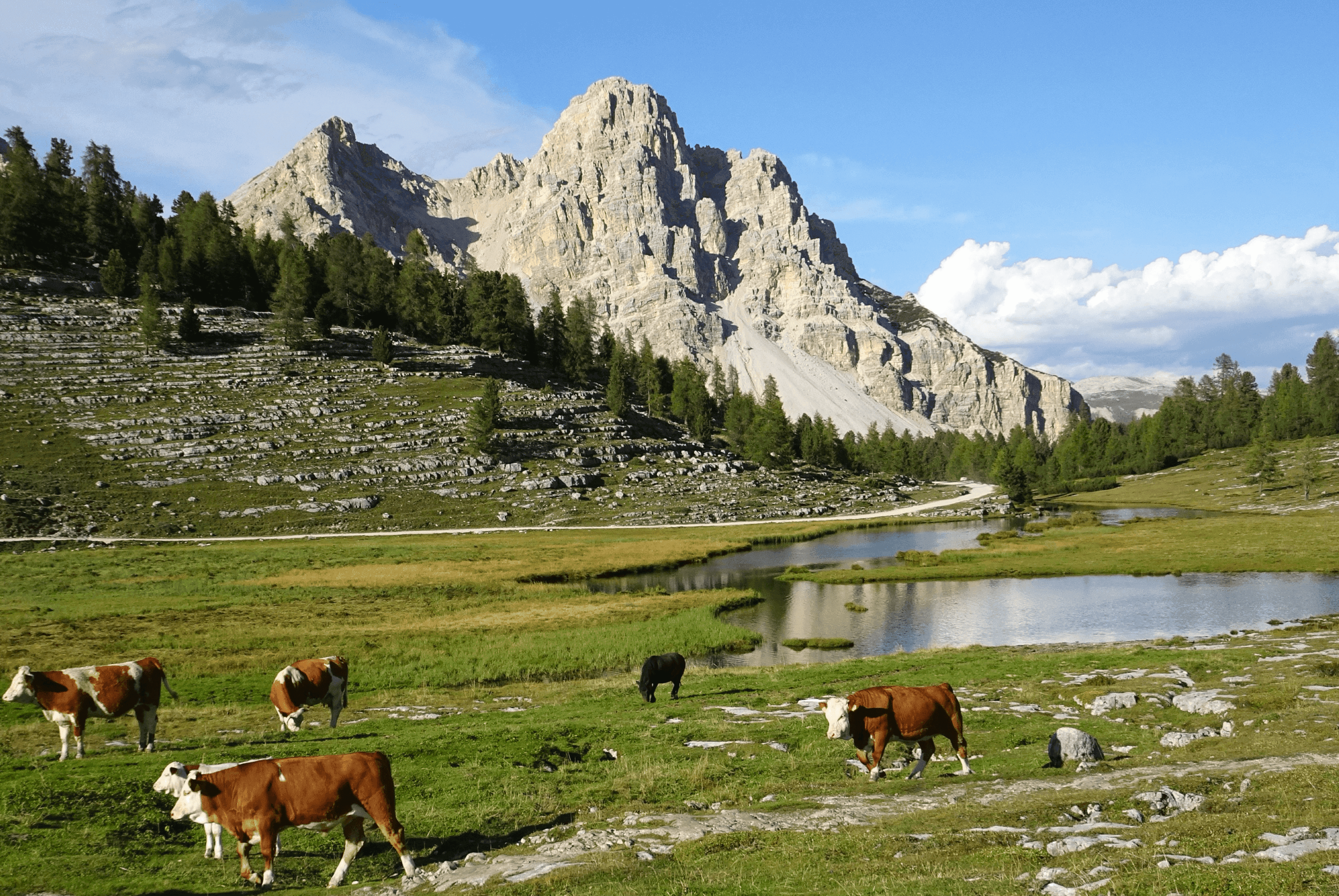 Dolomitenhöhenweg 1
